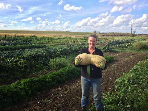 Knuckle Down Farm Knuckle Down Farm