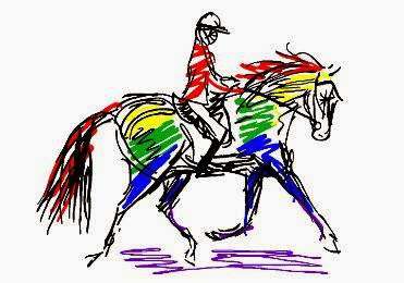 Miron Valley Stable & Riding School Miron Valley Stable & Riding School